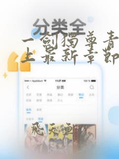 一剑独尊青鸾峰上最新章节