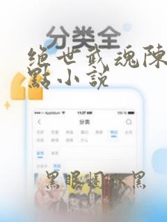绝世武魂陈枫顶点小说