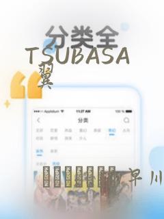 TSUBASA 翼：结局+番外
