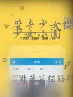魔卡少女樱魔法少女小圆