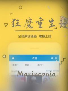 狂魔重生漫画：结局+番外