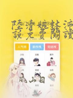 陆清婉林沛琛小说免费阅读最新章节