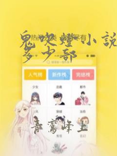 鬼吹灯小说共有多少部