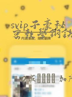 svip子豪秘密教学钢铁网