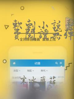 软刺小说番外免费阅读无弹窗