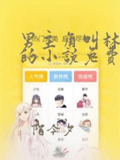 男主角叫林志远的小说免费阅读