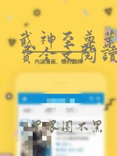 武神至尊叶风免费全文阅读无弹窗