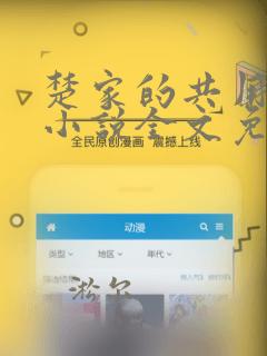楚家的共用美人小说全文免费阅读