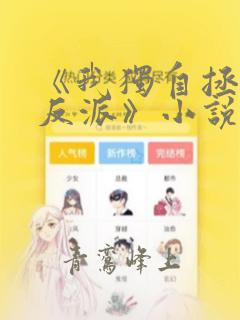 《我独自拯救女反派》小说