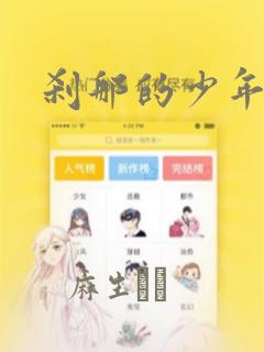 刹那的少年