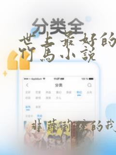 世上最好的青梅竹马小说