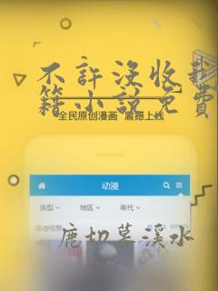 不许没收我的人籍小说免费阅读
