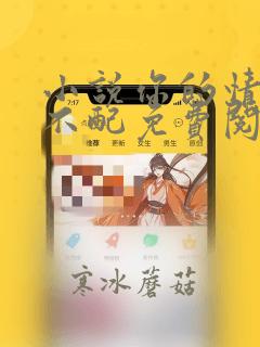 小说你的情深我不配免费阅读全文