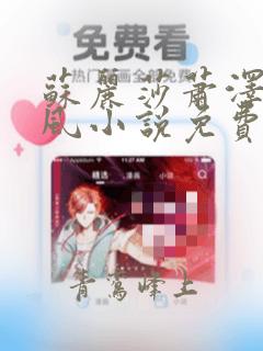 苏丽莎萧泽王雪风小说免费阅读
