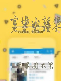 官场小说杨尘光免费阅读全文