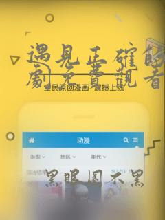 遇见正确的你短剧免费观看全集高清