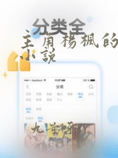 主角杨枫的玄幻小说