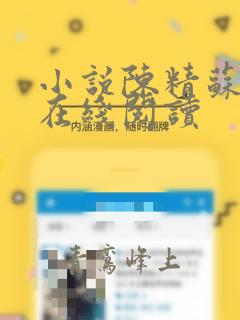 小说陈精苏若仙在线阅读