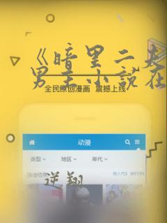 《暗里二夫》双男主小说在线阅读