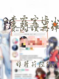 李霖官场小说免费阅读无弹窗