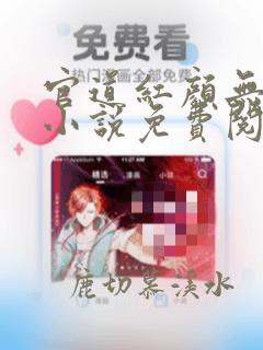 官道红颜无删减小说免费阅读全文