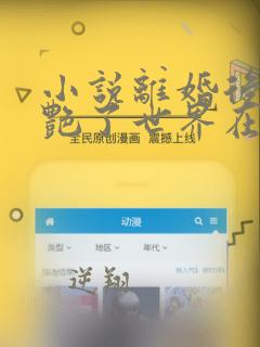 小说离婚后她惊艳了世界在线阅读
