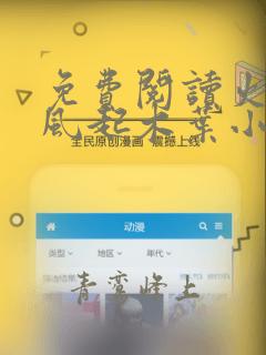 免费阅读火影:风起木叶小说