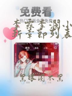 李霖李澜小说最新章节列表官场奇才