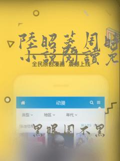 陆昭菱周时阅的小说阅读免费