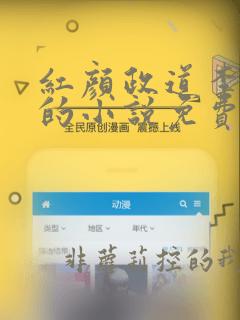 红颜政道李正安的小说免费阅读