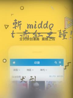好像是lanercad动漫软件