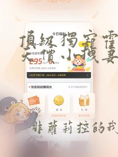 顶级独宠霍爷的天价小拽妻全文免费阅读