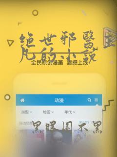绝世邪医主角林凡的小说