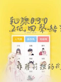 乳腺0.3 0.2低回声结节