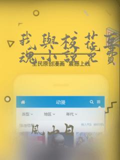 我与校花互换灵魂小说免费阅读