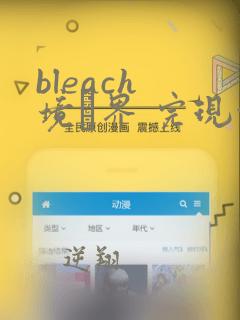 bleach 境·界 完现术篇 动漫