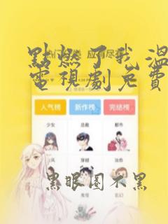 点燃了我温暖你电视剧免费观看全集