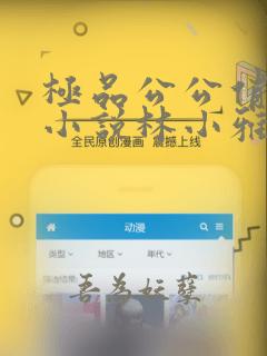 极品公公俏儿媳小说林小雅在线阅读