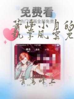 萧峥小月的小说执掌风云免费阅读