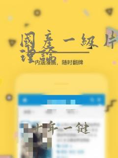 国产一级片韩国理论