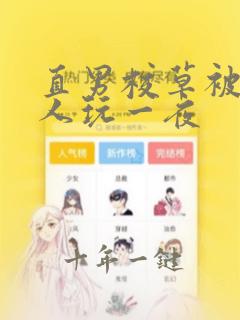 直男校草被两男人玩一夜