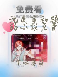 沈岁宁和顾聿礼的小说免费阅读
