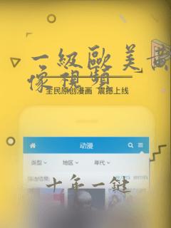 一级欧美黄色录像视频