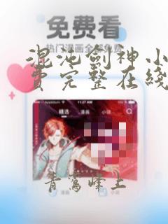 混沌剑神小说免费完整在线阅读