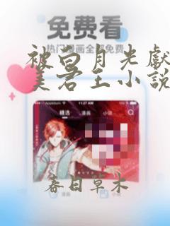 被白月光献给疯美君王小说免费阅读