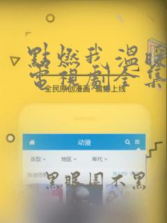 点燃我温暖你 电视剧全集免费观看