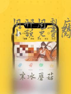 周邢周犁庭杨浅小说免费阅读无弹窗笔趣阁