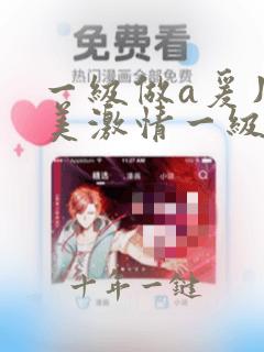 一级做a爰片欧美激情一级