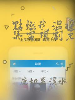 点燃我温暖你全集电视剧免费观看