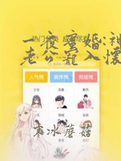 一夜蜜婚:神秘老公宠入怀免费阅读全